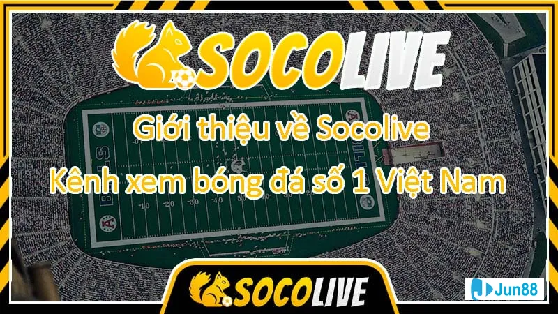 Yếu tố quan trọng trong bình luận bóng