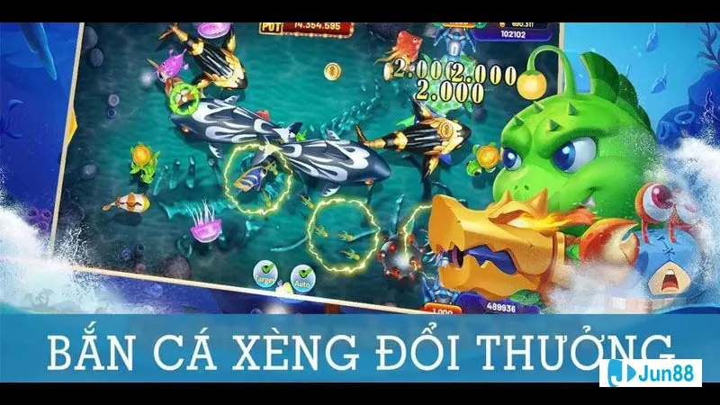 Cá Xèng Club - khái niệm hấp dẫn