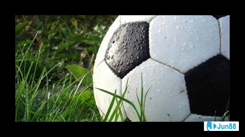 Minh họa cho Áp dụng công cụ tính