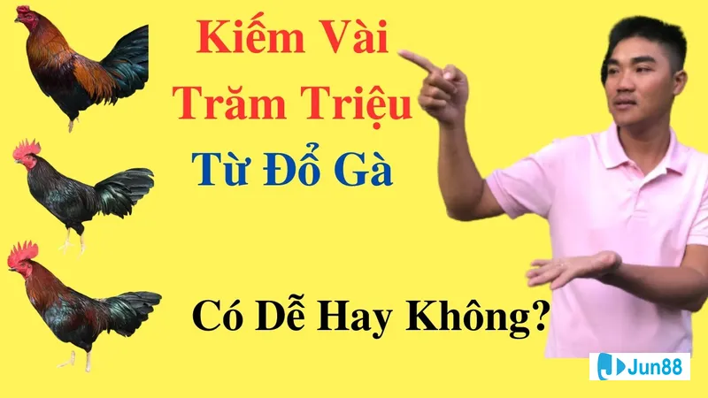 Đổ gà đá quy trình