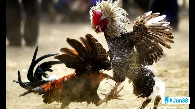 Sát thương cực cao trong game Sát thương cực cao trong game