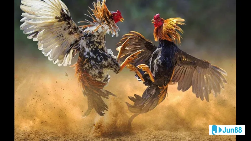 Chế độ dinh dưỡng đúng chuẩn