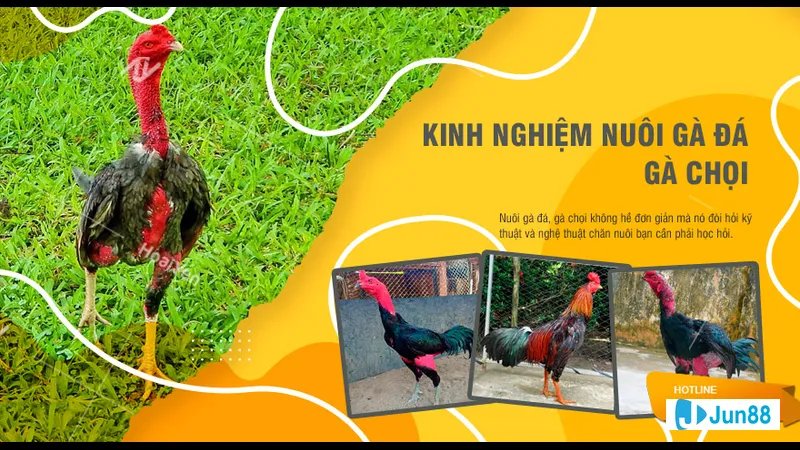 Lịch trình tẩy giun và tiêm vắc-xin định