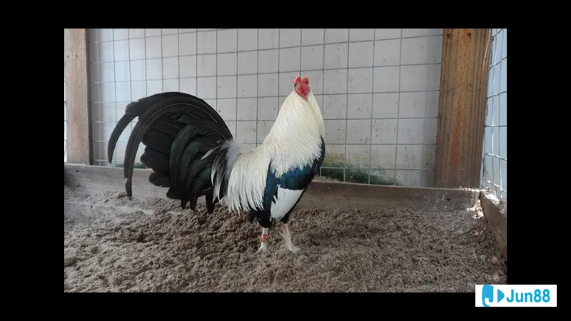 Quản lý thời gian và công sức